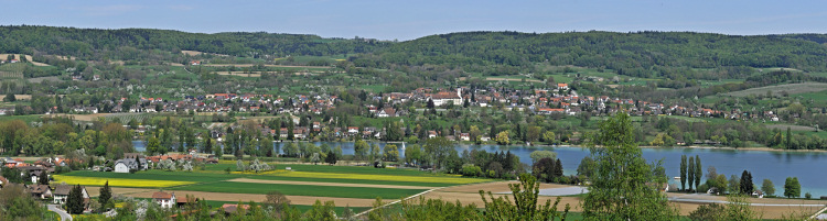 Blick über den Rhein auf
                                          Öhningen - Höri