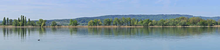 Halbinsel Mettnau und
                                          Markelfinger Winkel des
                                          Bodensees